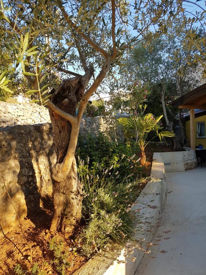 Apartmani Ljerka מאלינסקה מראה חיצוני תמונה